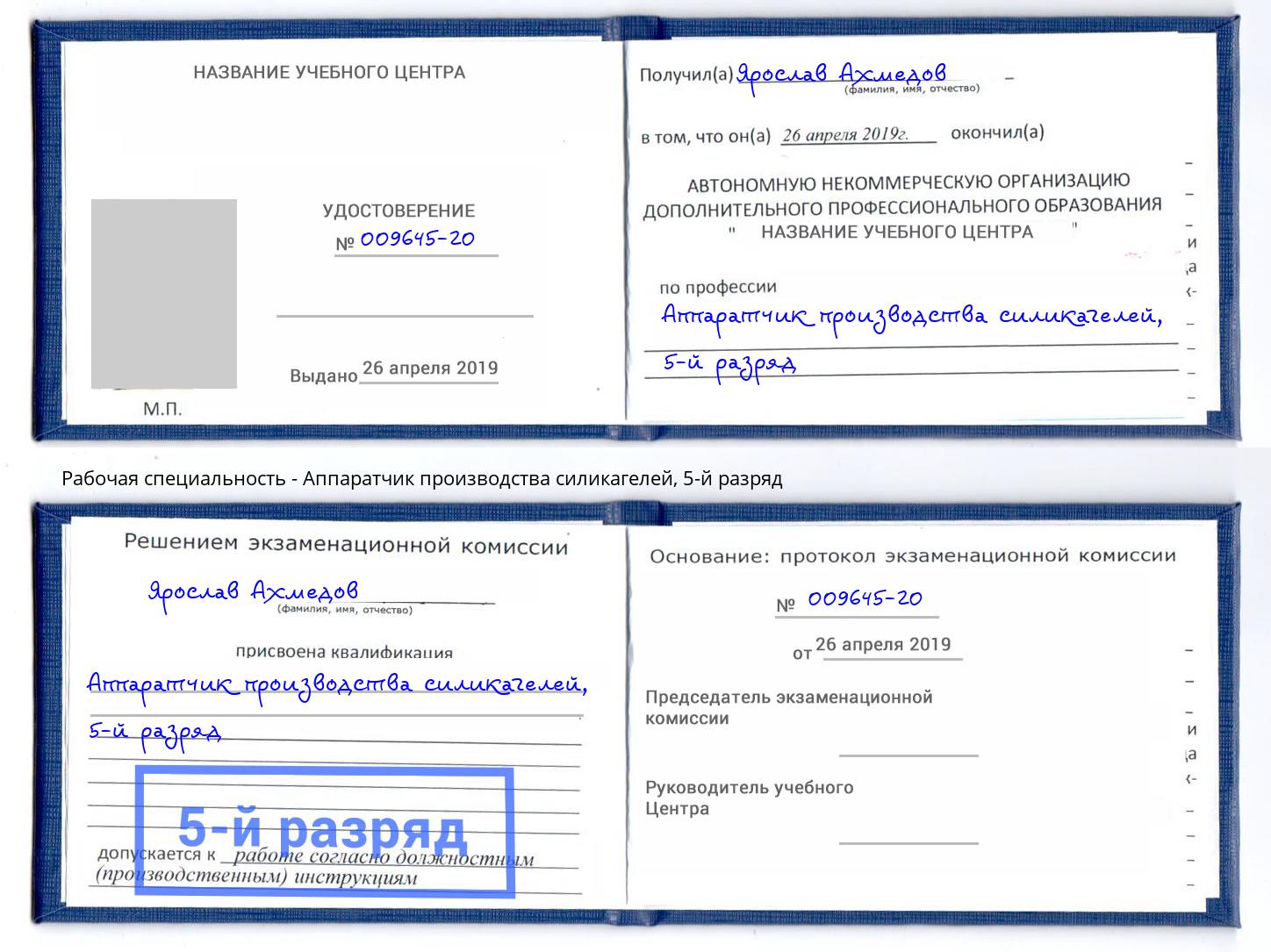 корочка 5-й разряд Аппаратчик производства силикагелей Москва