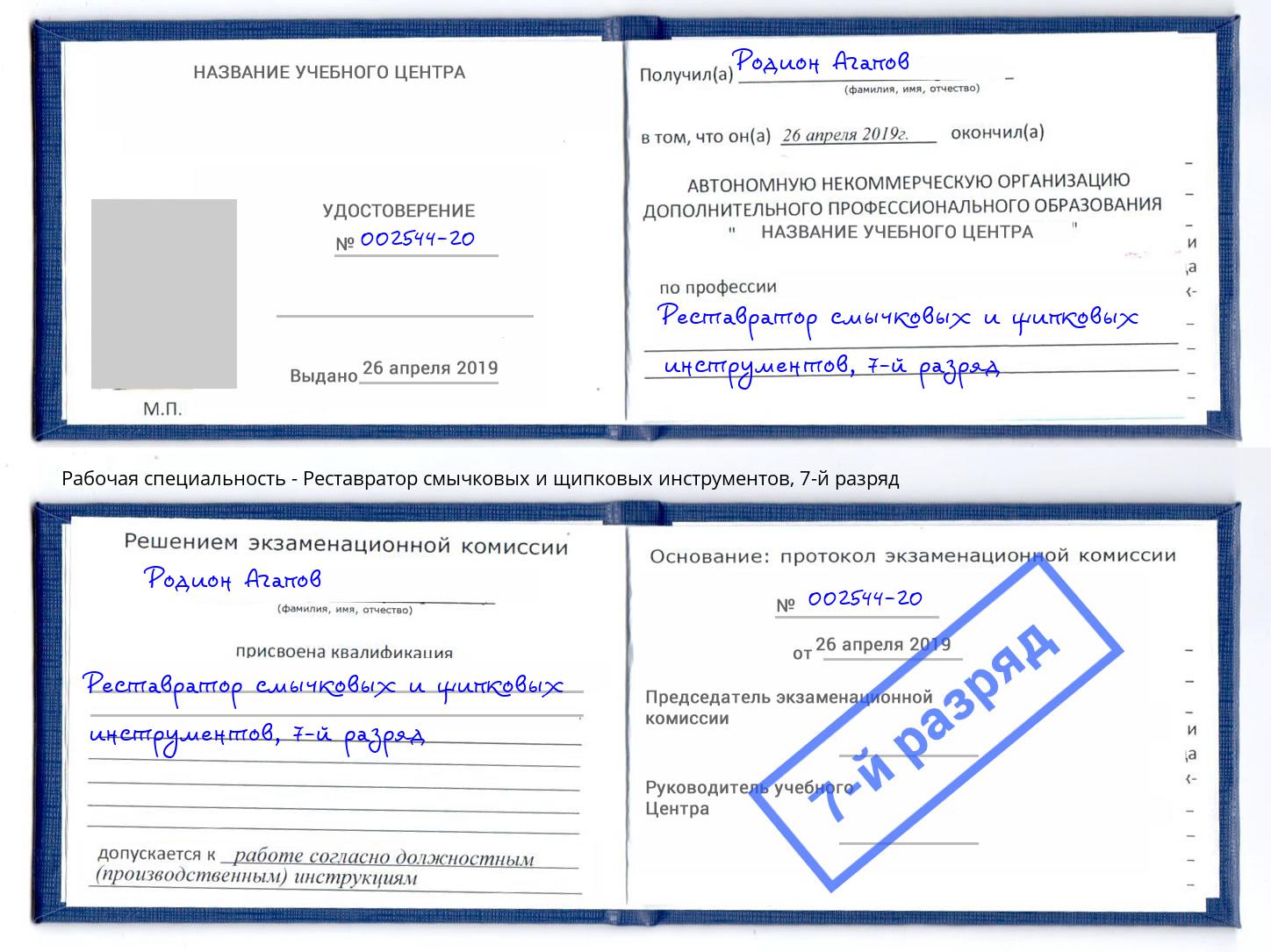 корочка 7-й разряд Реставратор смычковых и щипковых инструментов Москва