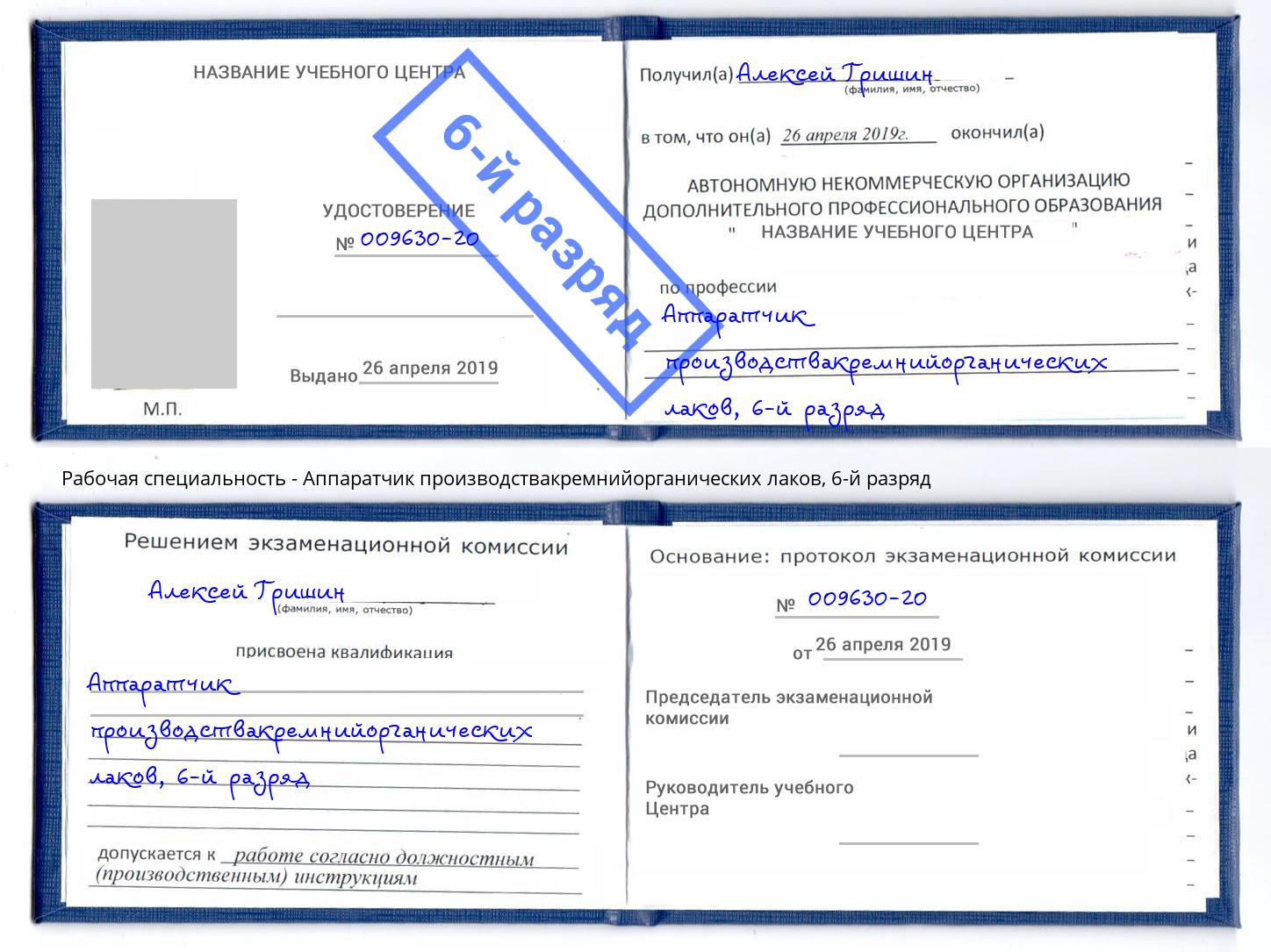 корочка 6-й разряд Аппаратчик производствакремнийорганических лаков Москва